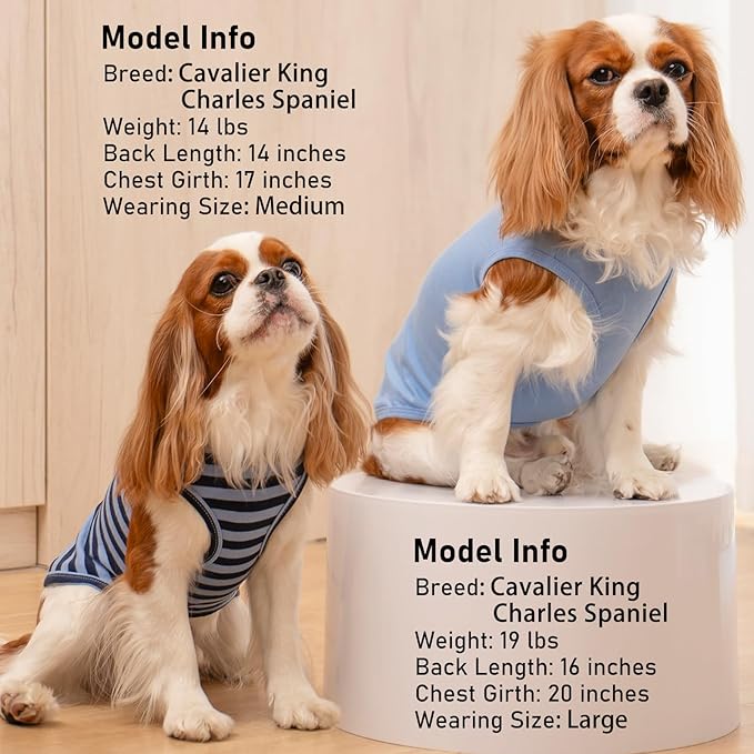 KYEESE 2Pack Dog Shirts Small Tee Soft for Small Dogs Striped T Shirt Lightweight Sleeveless Vest Cotton Tank Top Clothes, Large,Dark Blue+Striped