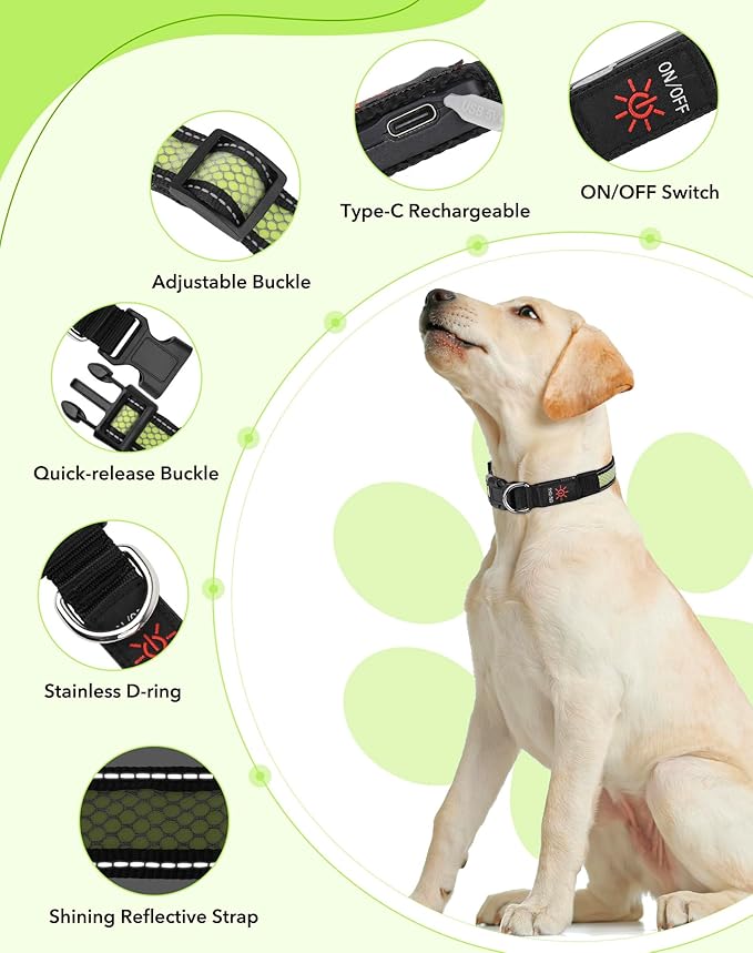 Weesiber Light Up Dog Collar - LED Dog Collar Rechargeable Glow in The Dark Reflective Pet Collar, Safety Doggy Lights for Night Walking(Green, M)