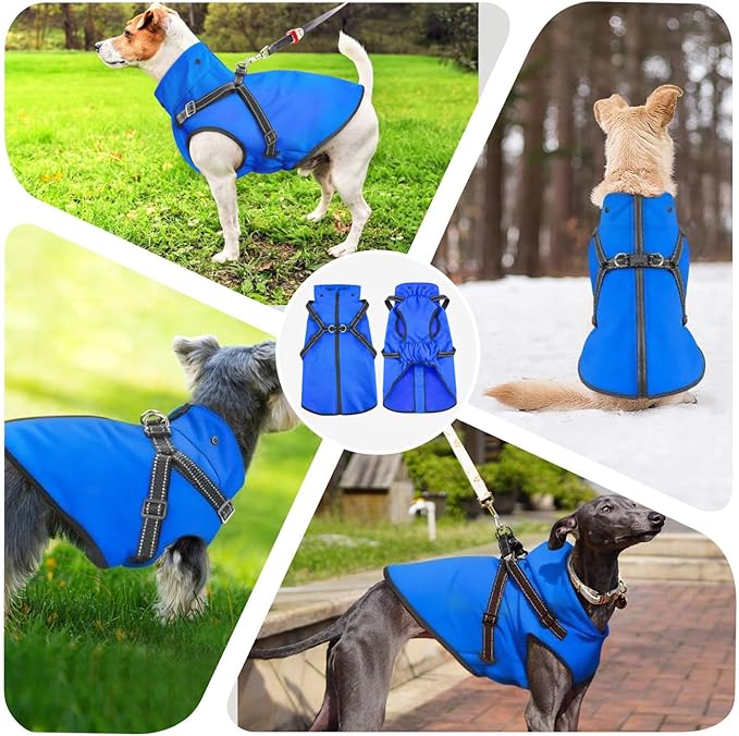 Mosucoirl Dog Raincoat Waterproof Dog Hoodie Reflective Doggie Raincoat Hooded Adjustable Rain Jacket for Small Medium Large Dogs Puppies Doggie Black Red Yellow Green (Blue, S)