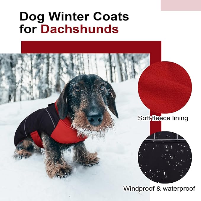 Lelepet Dachshund Coat Warm Dog Winter Coat Waterproof Dog Jacket with Fleece Lining, Reflective Outdoor Dachshund Snowsuit with Leash Hole Adjustable Neckline,Coats for Small Medium Dogs,Red, XL