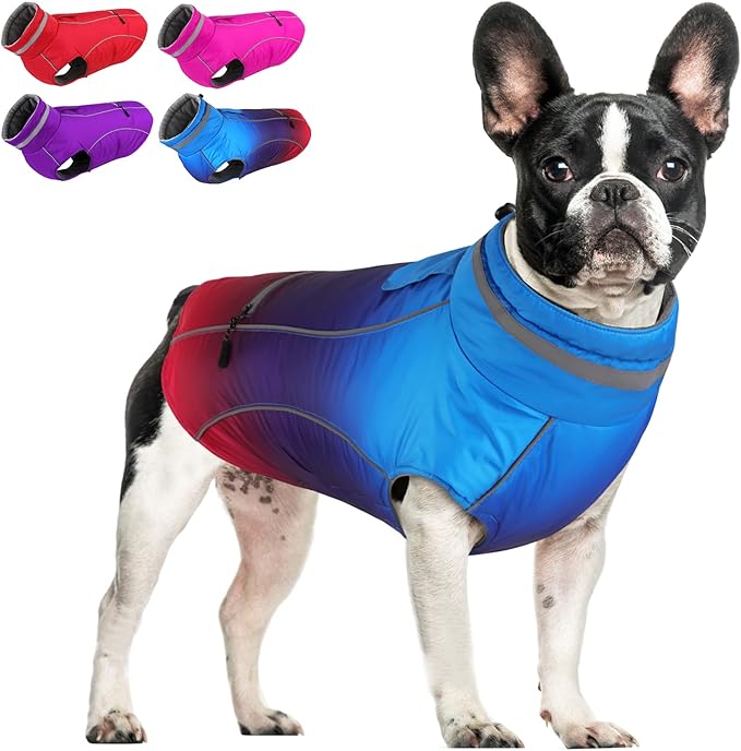Doglay Dog Winter Coat, Waterproof Dog Jacket with Pocket, Reflective Turtleneck Pet Winter Jackets, Warm Puppy Snow Jacket for Small Medium Large Dogs