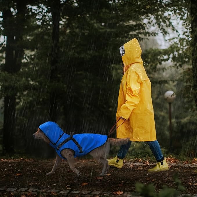 Mosucoirl Dog Raincoat Waterproof Dog Hoodie Reflective Doggie Raincoat Hooded Adjustable Rain Jacket for Small Medium Large Dogs Puppies Doggie Black Red Yellow Green (Blue, S)