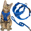 Best Pet Supplies Voyager Escape Proof Cat Harness and Leash Set with Reflective Stitching, Neoprene Handle 5ft - Supports Small, Medium and Large Cats, Kittens - Royal Blue, M (Chest: 16.5-19.5")
