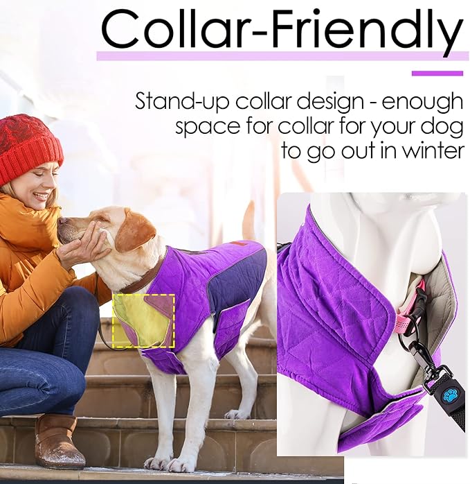 ThinkPet Dog Cold Weather Coats - Cozy Waterproof Windproof Reversible Winter Dog Jacket, Thick Padded Warm Coat Reflective Vest Clothes for Puppy Small Medium Large Dogs