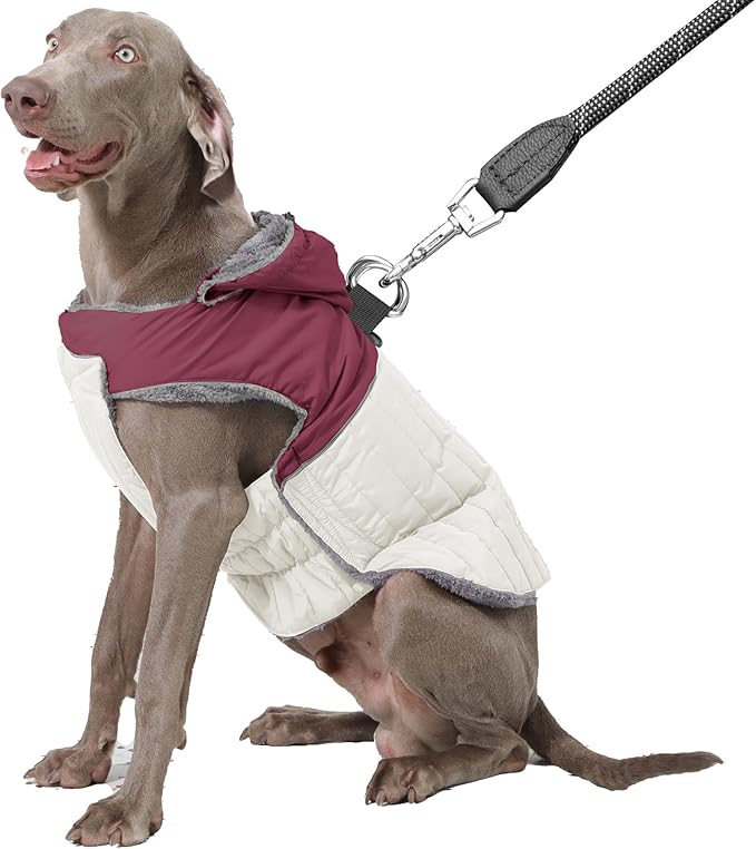 Detachable Hooded Dog Coat with Harness for Large Dogs,Super Warm Fleece Puppy Jacket for Cold Winter Doggie Coats,Red XXL