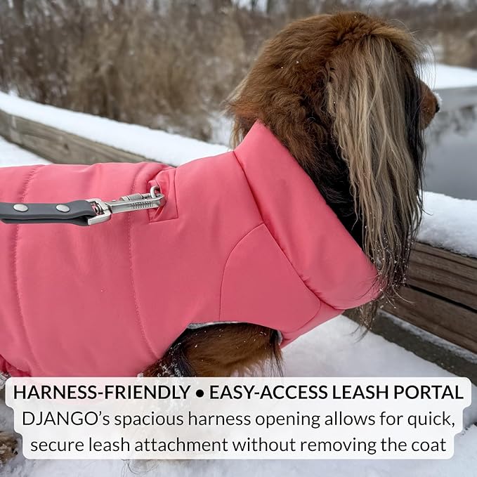 DJANGO Puffer Dog Coat – Warm Winter Dog Jacket & Water-Repellent Insulated Puffer Vest with Striped Lining, Harness Hole, Adjustable Fit for Small & Medium Dogs, Dachshunds – Sea Foam Green, Medium