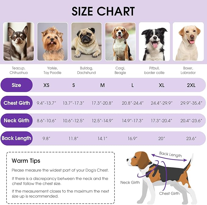 Queenmore Dog Winter Coat, Cold Weather Fleece Jacket for Dogs, Waterproof Reflective Reversible, for Small, Medium and Large Dogs (Purple, 2XL)