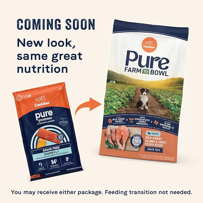 Canidae Pure Grain Free Dry Puppy Food, Real Salmon & Sweet Potato, 4 lbs.