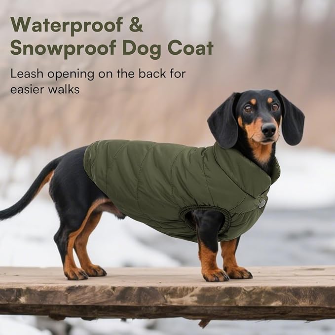 ASENKU Windproof Dog Winter Coat Waterproof Fleece Jacket Cold Weather Pet Apparel for Small Medium Large Dogs (ArmyGreen, XL)