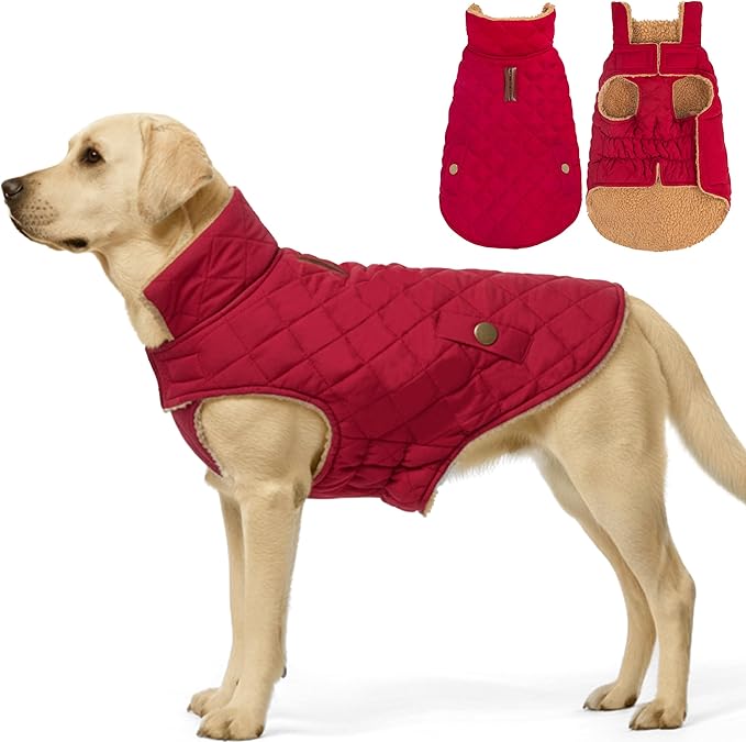 azuza Dog Jacket for Medium Dogs Waterproof & Windproof Dog Coat for Small Dogs with Thick Fleece, High Collar with Leash Hole, Adjustable Velcro & Elastic Belly, Red 2XL