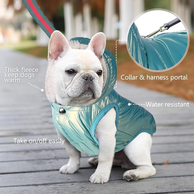 Windproof Waterproof Dog Coat Fleece & Cotton Lined Warm Jacket, Cold Weather Pet Apparel Clothes Vest for Small Medium Large Dog (XS, Mintgreen)