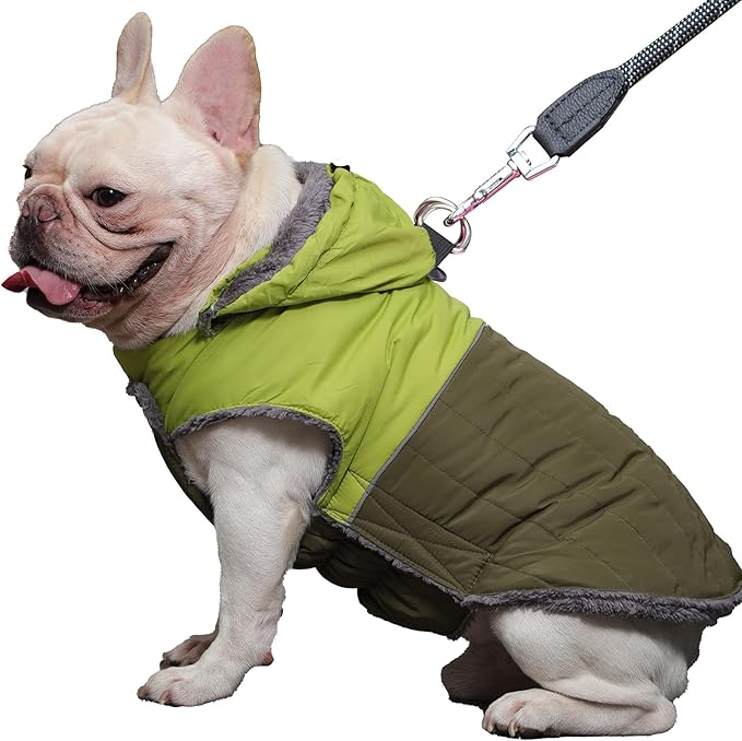 Detachable Hooded Dog Coat with Harness for Medium Dogs,Super Warm Fleece Puppy Jacket for Cold Winter Doggie Coats,Green L