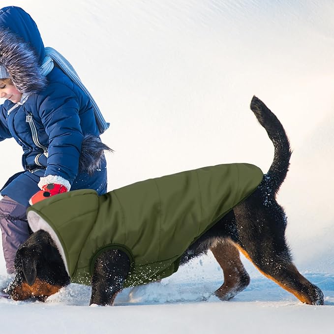 Fleece Hoodie, Windproof Waterproof Coat, Winter Warm Jacket, Cold Weather Pet Apparel Clothes Vest for Small Medium Large Dogs (S, Green)