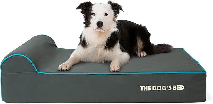The Dog’s Bed Orthopedic Headrest Dog Bed Large Grey/Blue, Memory Foam, Pain Relief for Arthritis, Hip & Elbow Dysplasia, Post Surgery, Lameness, Waterproof Washable Cover
