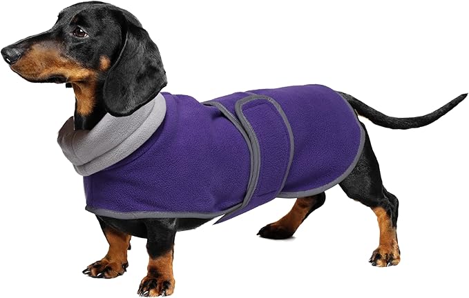 Geyecete Dachshund Sweaters for Dogs Jacket,Dachshund Coat Perfect Dog Winter Coat with Padded Fleece Lining,high Collar,Dog Snowsuit-Purple-L
