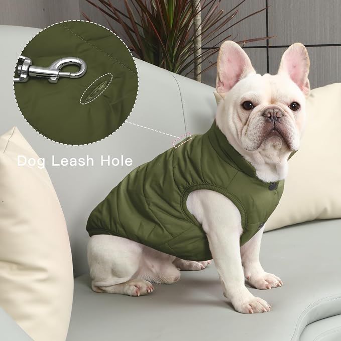 Fleece Lined Warm Dog Jacket for Winter Cold Weather,Soft Windproof Medium Dog Coat,Green XL