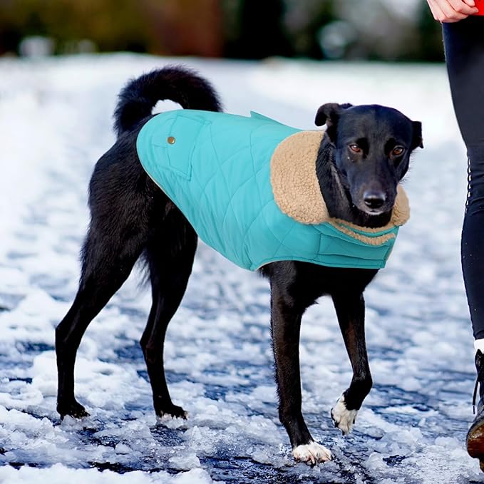 Winter Coat for Small Dogs, Puppy Plaid Jacket, Dog Jacket for Cold Weather, Windproof Warm Garments, Pets Thickened Outfits Indoor Outdoor, Blue S