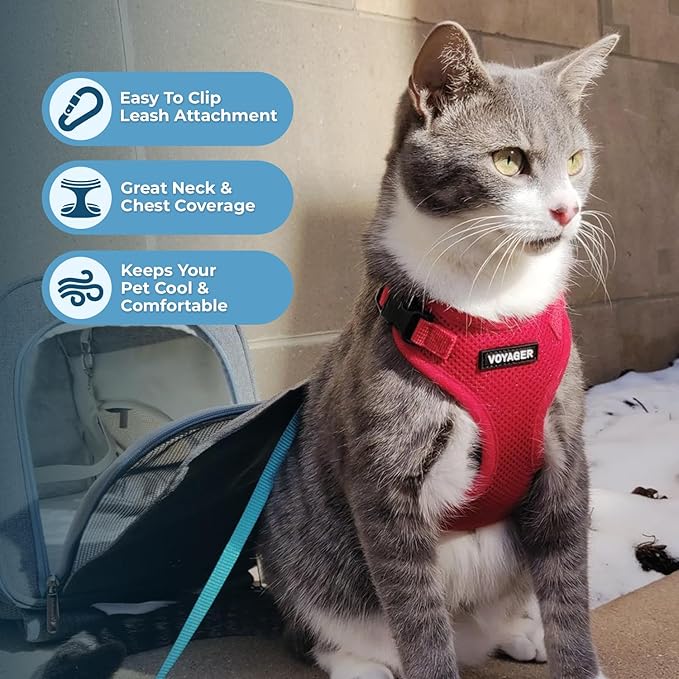 Voyager Step-in Lock Adjustable Cat Harness w. Cat Leash Combo Set with Neoprene Handle 5ft - Supports Small, Medium and Large Breed Cats by Best Pet Supplies - Red, XXS
