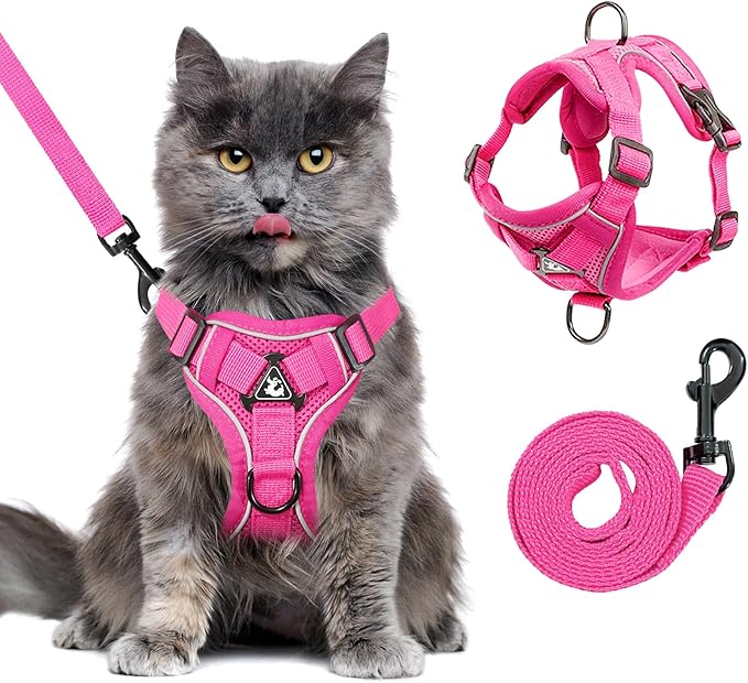 Escape Proof Cat Harness and Leash Set for All Types of Cats - Adjustable Reflective Soft Mesh Vest with 4 Buckles, Breathable Walking Harness for Kittens to XL Cats