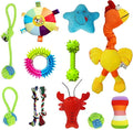 12 Piece Dog Toy Set, Rope Toys, Ball, Plush Toys, Bones and More Squeaky Dog Toys, Indoor/Outdoor Puppy Toys, Training