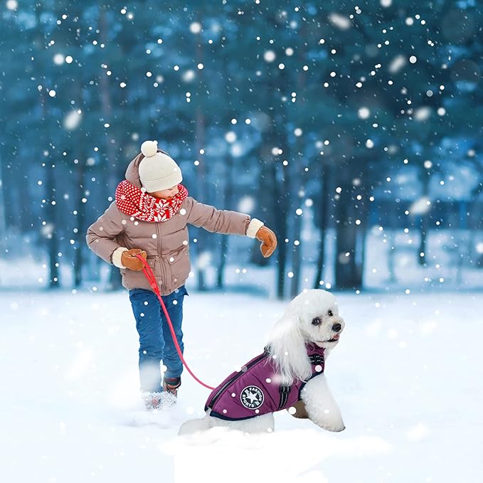Warm Winter Coat, Fashion Sports Jacket with Built-in Harness, Reflective & Adjustable Comfortable Pet Vest, Waterproof Windproof Dog Apparel for Small Dogs (Purple)