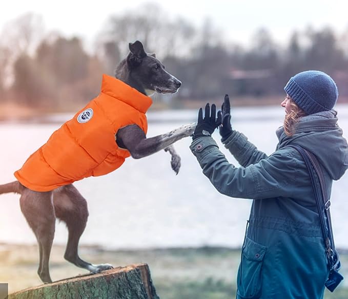 Kuoser Dog Coat Warm Dog Puffer Jacket, Windproof Dogs Padded Vest Lightweight Cold Weather Coats Pet Snowsuit Soft Puppy Winter Clothes for Extra Large Dogs, Button Design, Easy On/Off, Orange 2XL
