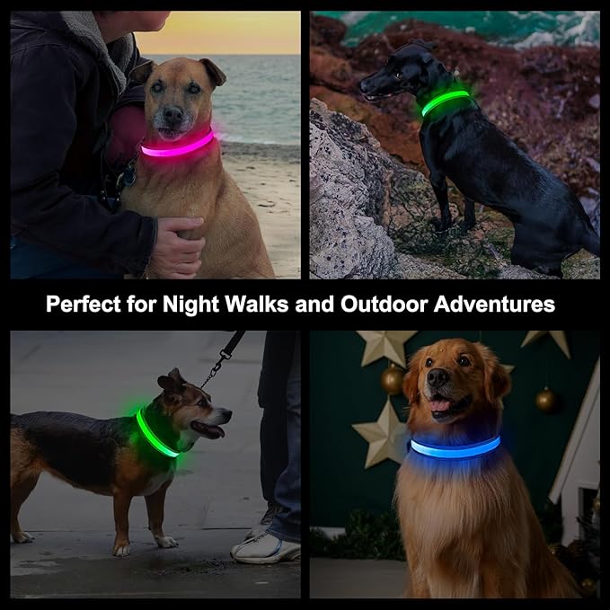Light Up Dog Collar, Multicolor LED Dog Collar with 7 Modes, USB-C Rechargeable Reflective Glow Collar, Waterproof & Adjustable Design with Battery Indicator for Safe Night Walks(Medium)