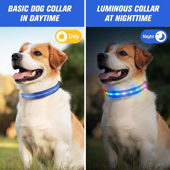 LED Dog Collar, Light Up Dog Collar, USB Rechargeable - Brightest Dog Lights for Night Walking, 6 Light Modes, Adjustable for Dog Safety(Medium, Royal Blue)