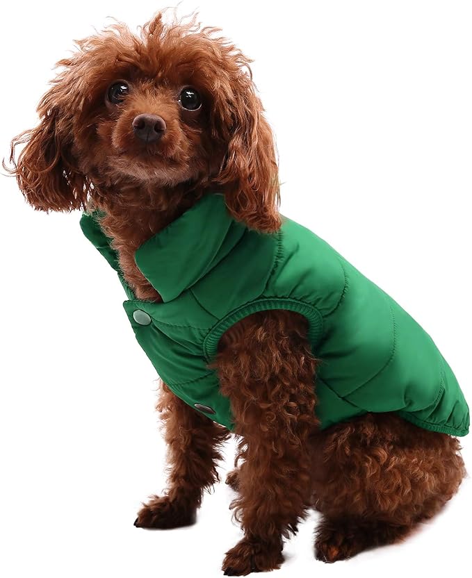 ASENKU Dog Winter Coat - Waterproof Windproof Dog Jacket, Warm Snowproof Doggie Puffer Vest for Cold Weather, Lightweight Snow Coats for Small Medium Large Dogs (XS, Green)