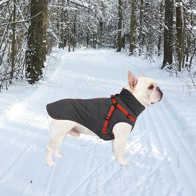 Geyecete Winter Warm Coat Waterproof Dog Winter Jacket with Harness Traction Belt,Windproof Pet Outdoor Jacket Dog Autumn-Gray-S