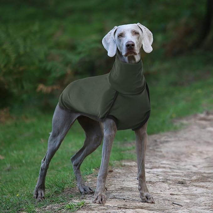 ROZKITCH Dog Winter Coat Soft Pullover Pajamas, Pet Windproof Warm Cold Weather Jacket Vest Cozy Jumpsuit Apparel Outfit Clothes for Walking Hiking Travel Sleep Green 4XL