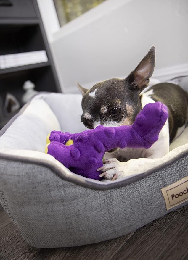 goDog Just For Me Dinos Bruto Squeaky Plush Dog Toy, Chew Guard Technology - Purple, Mini