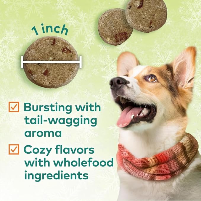 Honest to Goodness Plant Snacks Limited Edition Holiday Pumpkin Spice Dog Treats, 4oz