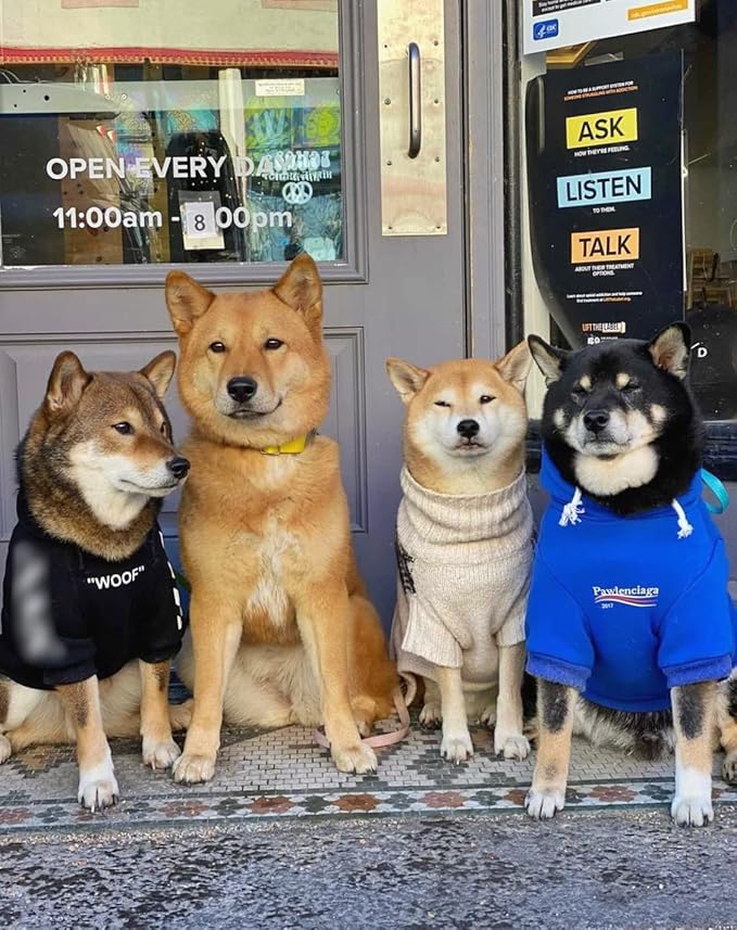 ChoChoCho Stylish Streetwear Blue Dog Sweatshirt Tracksuits, Cats Hoodies, Dog Outfit for Cat Puppy Small Medium (4XL)