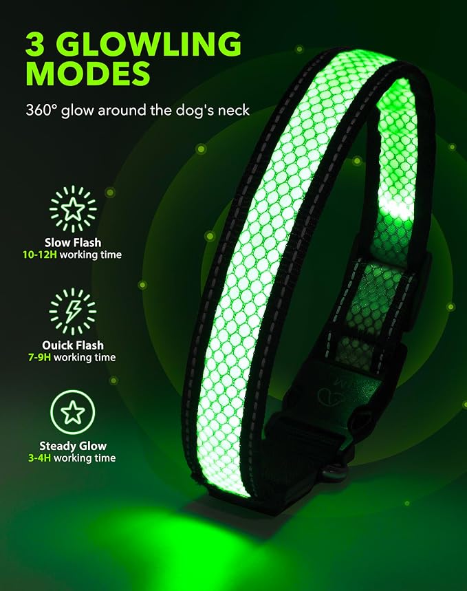 Weesiber Light Up Dog Collar - Reflective LED Dog Collar Rechargeable Glow in The Dark Pet Collar, Safety Doggie Lights for Night Walking(Green, S)