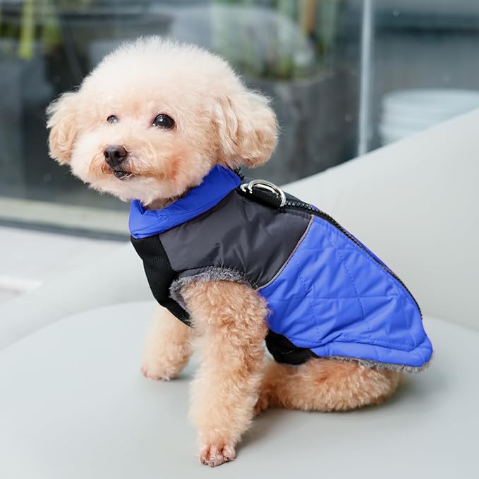 Warm Fleece Dog Coats for Small Dogs,D-Rings Waterproof Puppy Jacket for Cold Winter,Blue S