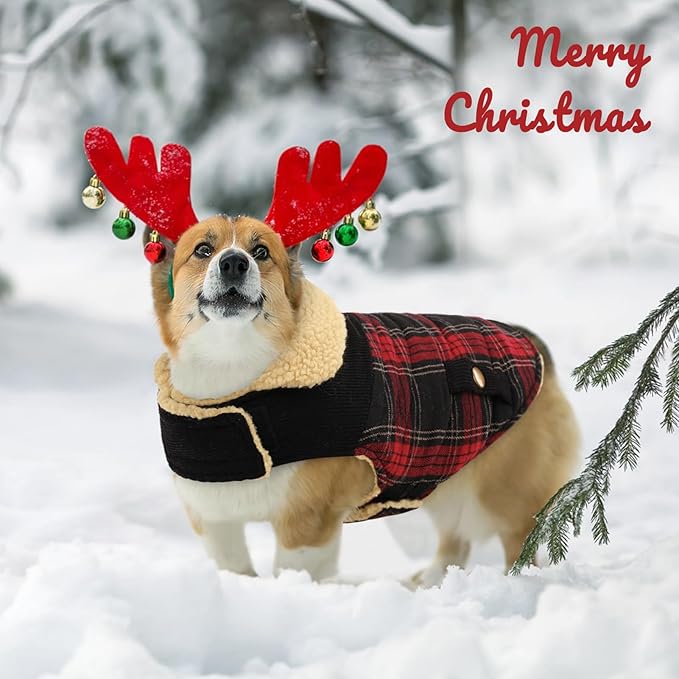 Queenmore Dog Winter Coat Warm Dog Jacket for Cold Weather, Quilting Puffer Plaid Coats for Small/Medium Dogs Waterproof,Girl/Boy Pet Christmas Coat,Pet Snowsuit with Leash Hole/Fleece Padding, L