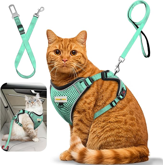 Cat Harness and Leash for Walking, Retractable Cat Harnesses and Leash Set Escape Proof, Breathable Soft Kitten Small Large Harness for Travel Training and Walking, Green, M