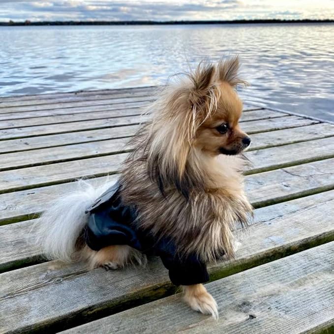 PETLESO Dog Coat for Small Dogs, Dog Leather Jacket Waterproof Windproof, Double Layer Warm Dog Winter Coat with Plush Lined, Black M