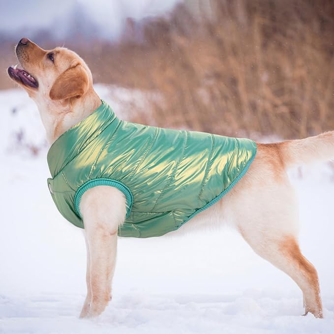 ASENKU Dog Winter Coat - Waterproof Windproof Dog Jacket, Warm Snowproof Doggie Puffer Vest for Cold Weather, Lightweight Snow Coats for Small Medium Large Dogs (Mint Green, XL)