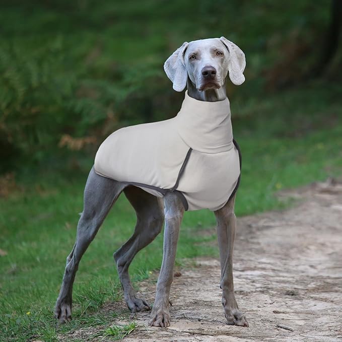 ROZKITCH Dog Winter Coat Soft Pullover Pajamas, Pet Windproof Warm Cold Weather Jacket Vest Cozy Jumpsuit Apparel Outfit Clothes for Walking Sleep Grey XL