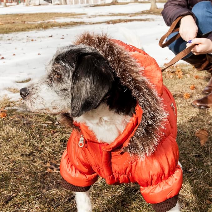 PET LIFE Classic Metallic Fashion Pet Dog Coat Jacket Parka w/ 3M Insulation and Removable Hood, Medium, Metallic Orange