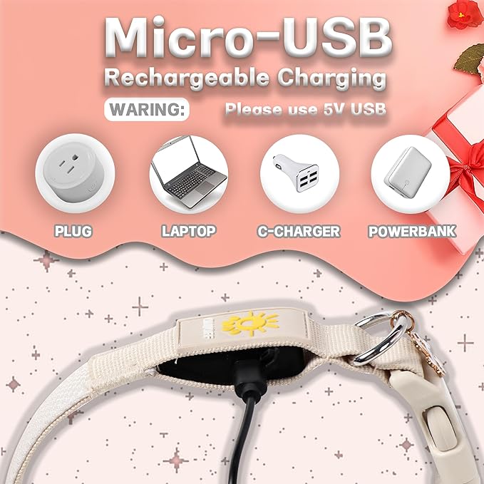 DOGWONG LED Dog Collar - Heavy Duty Light up Collars - Rechargeable Waterproof - Lighted Dog Collar for Night Walking, Hiking, Camping(White,L)
