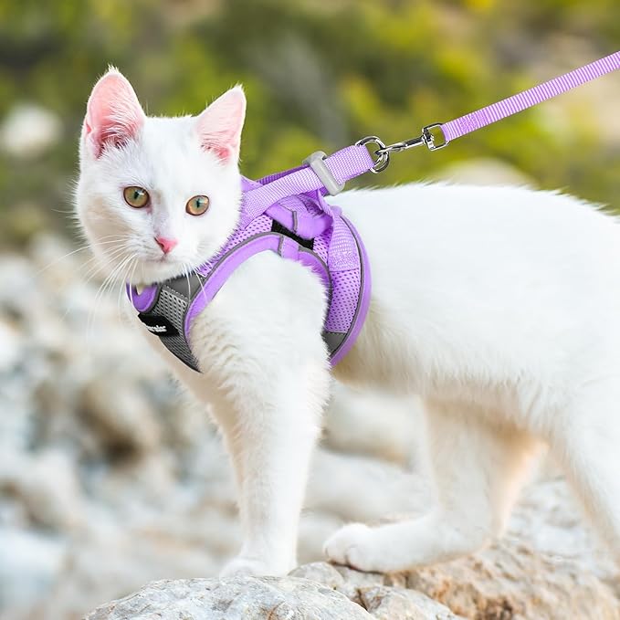 Dooradar Cat Harness and Leash Set, Escape Proof Lightweight Kitten Harness, Soft Breathable Reflective Vest for Outdoor Walking Traveling, Adjustable for Large Cats, Grey & Purple, L