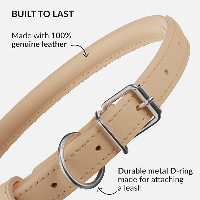 CollarDirect Rolled Leather Dog Collar, Soft Padded Round Puppy Collar, Handmade Genuine Leather Collar Dog Small Large Cat Collars 13 Colors (6 Inch, Beige Smooth)