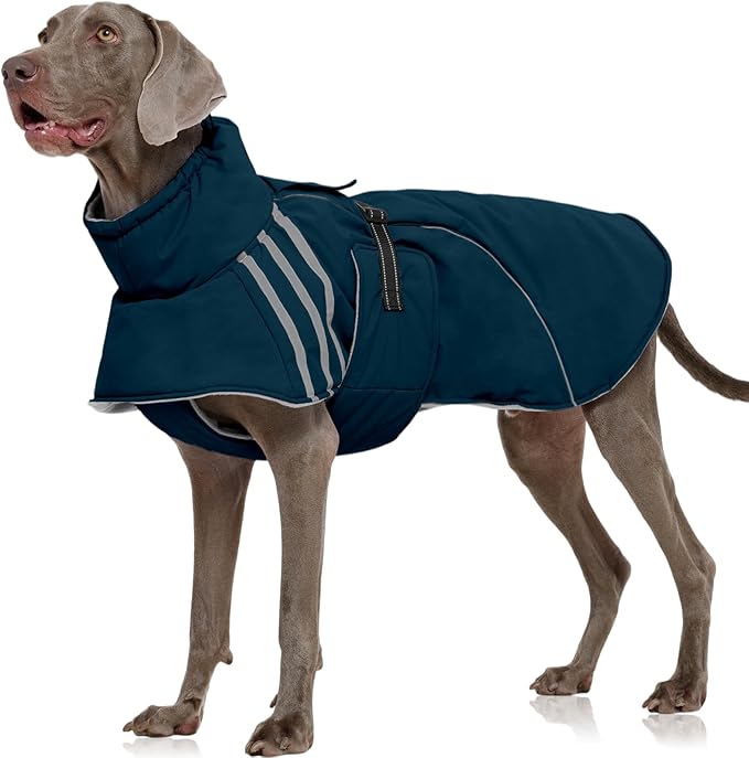 FUAMEY Dog Cold Weather Coats,Dog Winter Jackets for Large Dogs Warm Dogs Coat with Reflective Strips Waterproof Pet Snowsuit Thick Paded Pets Vest for Labrador Golden Retriever Blue XL