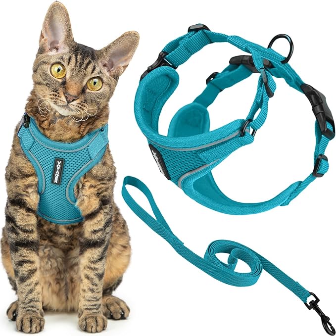 Voyager Escape Proof Cat Harness and Leash Set with Reflective Stitching, Neoprene Handle 5ft - Supports Small, Medium and Large Cats, Kittens for Walking by Best Pet Supplies - Turquoise, XS