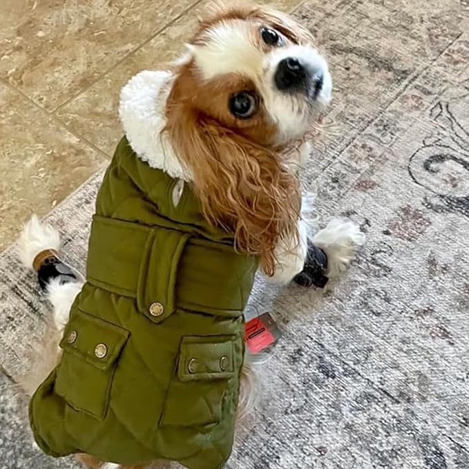 KYEESE Dog Coat Windproof Dog Coats for Small Dogs Soft Pet Sweater for Cold Weather Waterproof Dogs Jacket with Fleece Lined Warm Pet Winter Puffer Coat with Leash Hole Thick Cat Clothes with Pocket