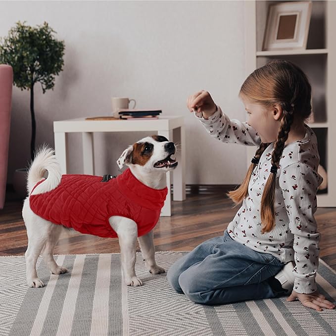 Kuoser XXXL Thermal Dog Suit | Extra Giant Apparel for St. Bernards | D-Ring Safety System Prevents Escape During Storms, Red XXL