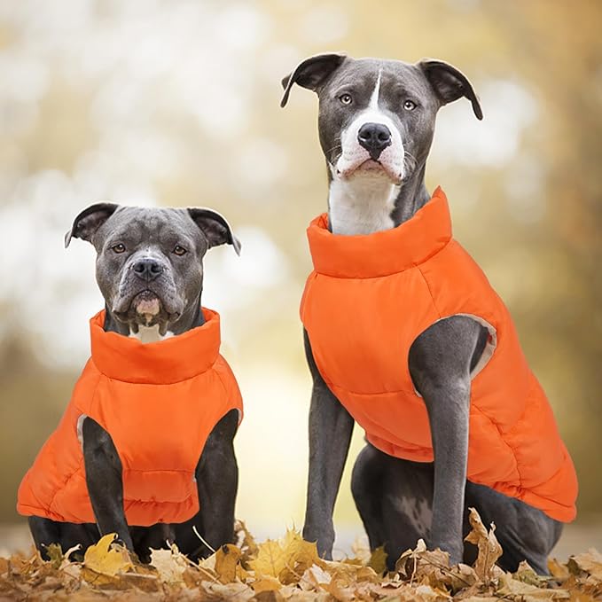 Kuoser Dog Coat Warm Dog Puffer Jacket, Windproof Dogs Padded Vest Lightweight Cold Weather Coats Pet Snowsuit Soft Puppy Winter Clothes for Extra Large Dogs, Button Design, Easy On/Off, Orange 2XL